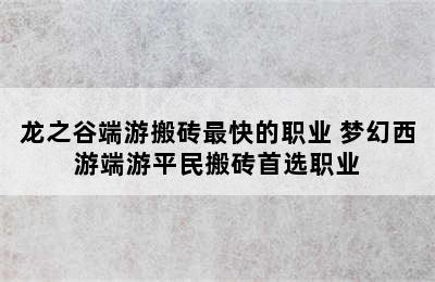 龙之谷端游搬砖最快的职业 梦幻西游端游平民搬砖首选职业